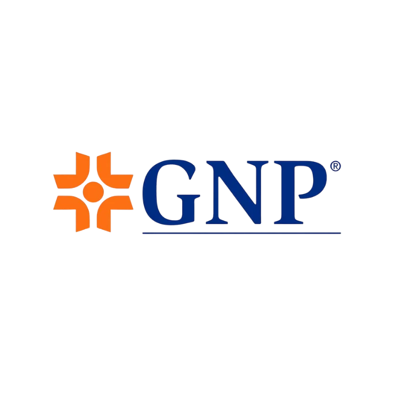 GNP